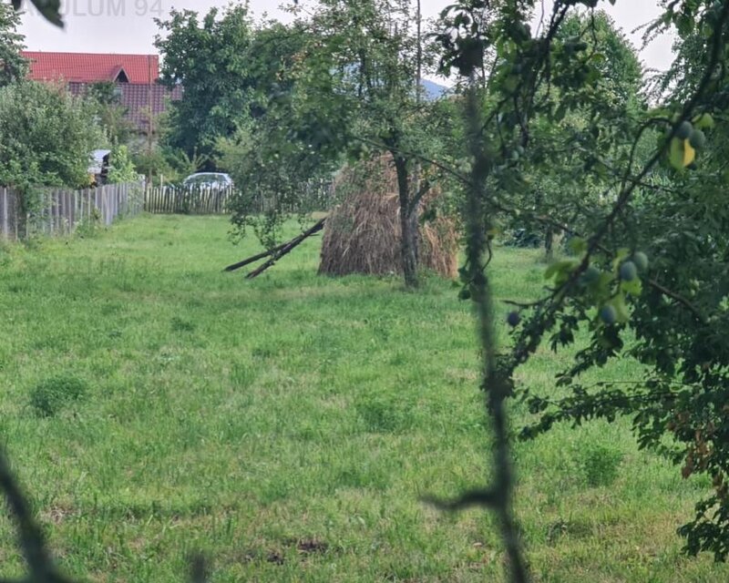 Teren de vanzare in Brebu - Zona Brebu Manastirei