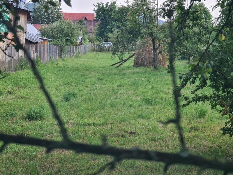 Teren de vanzare in Brebu - Zona Brebu Manastirei